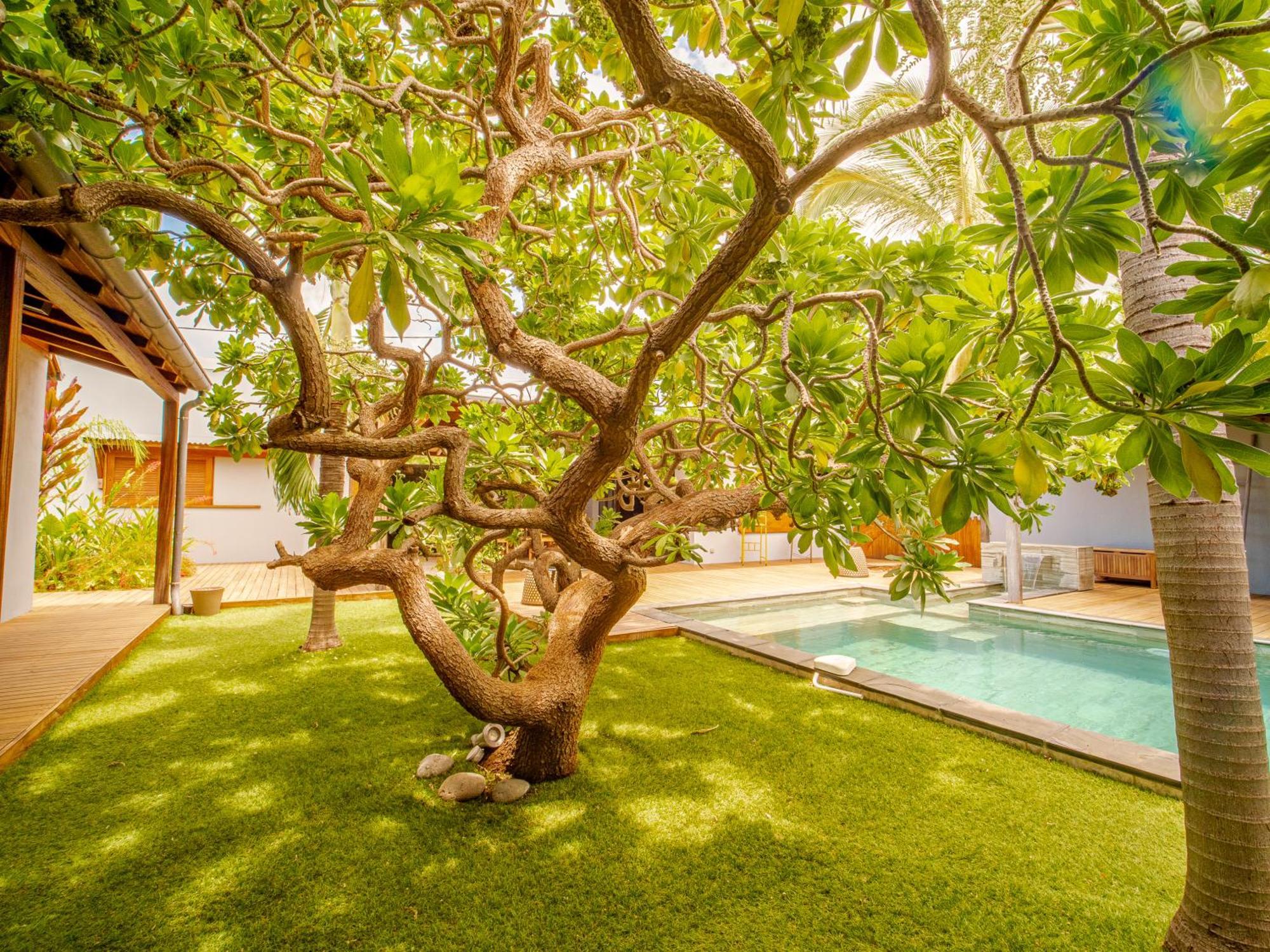 La Kaz Veloutier - Villa 4 Chambres Avec Piscine La Saline Le Bains Ngoại thất bức ảnh